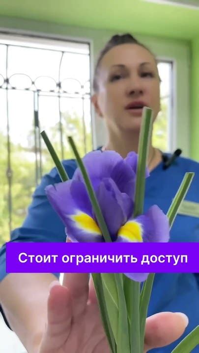 Самый опасный цветок для питомцев | часть 1 - YouTube