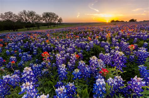 rehab centers  killeen tx  drug alcohol options