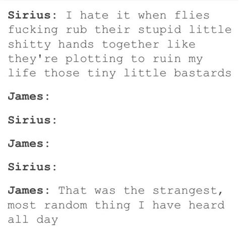 James And Sirius Funny Harry Potter Jokes Gay Harry Potter Harry Potter Puns