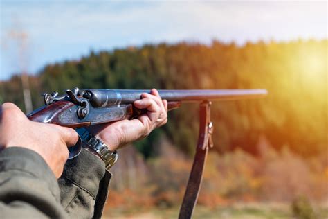 Tips for Better Shotgun Shooting | Grizzly Cartridge Blog