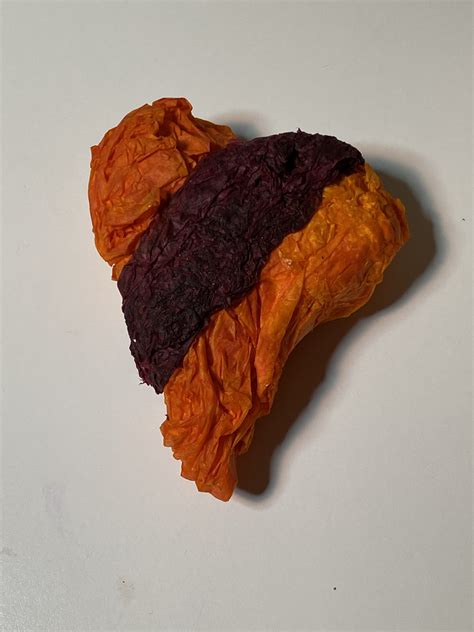 Kathleen Bloom – Artist & Maker