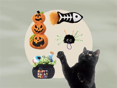Target's Best Cat Toys for Halloween from Just $3