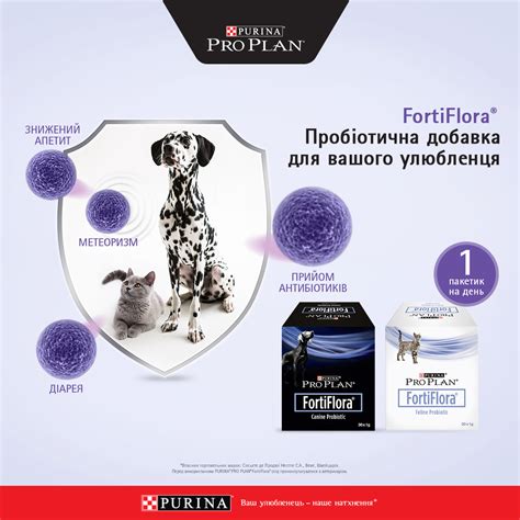 Pro Plan Ukraine - 3,451 Photos - 12 Reviews - Pet Supplies