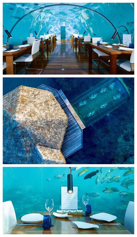 ITHAA UNDERSEA RESTAURANT🍽 | Ocean restaurant, Maldives travel, Maldives