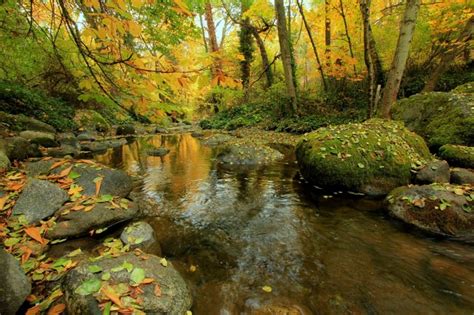 Онлайн пазл «Осень» | Hd nature wallpapers, Nature photography, Cool ...