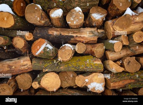 Faces Of Logs In Winter Woodpile Of Firewood Under Snow Abstract