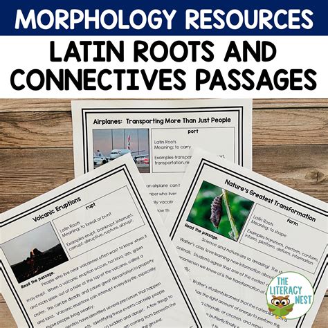 Morphology Sentences for Prefixes, Suffixes, Roots, Greek Forms - The