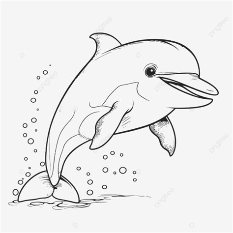 dolphin coloring pages outline sketch drawing vector wing drawing
