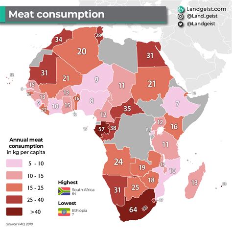 Meat Consumption In Africa Landgeist