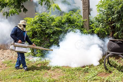 Cómo Fumigar Contra Los Mosquitos