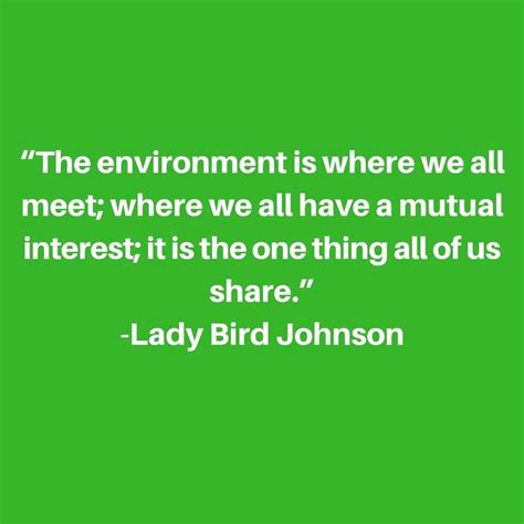 380 Of The Most Impactful Environmental Quotes To Inspire You To Save