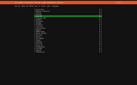 How to Install Ubuntu 24.04 (Noble Numbat) Minimal Server