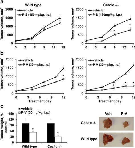 P S And P V Are More Efficacious Against Pancreatic Carcinoma Kpc In