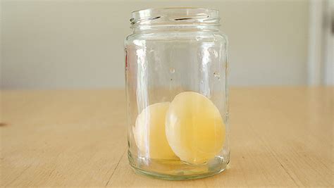 At Home Science Naked Egg Experiment