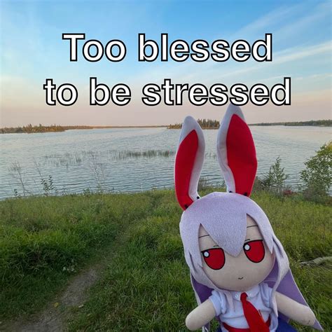 😇 Touhou Touhouproject 東方project とうほうプロジェクト 東方プロジェクト