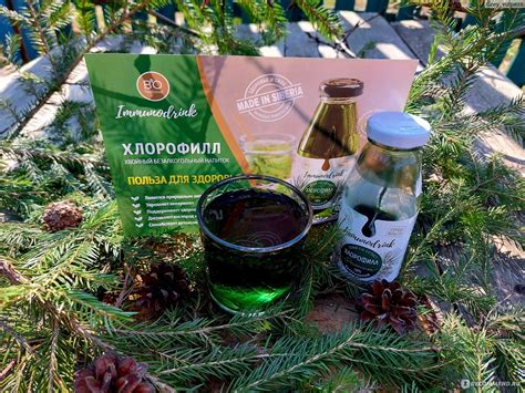 Напиток Bio National Хвойный Хлорофилл - «Хлорофилл для здоровья ...