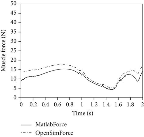 medial head  triceps brachii  scientific diagram