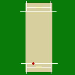 Spin bowling - Wikipedia