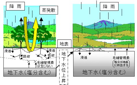 添付資料 I ：土壌塩類化のメカニズム｜2002｜プレスリリース｜企業情報｜関西電力