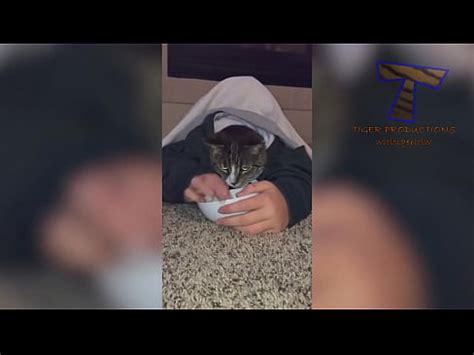 Hairy Pussy Funny XVIDEOS