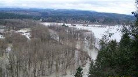 Carnation Flooding