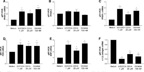 Figure 1 From Cross Talk Between Farnesoid X Receptor FXR And