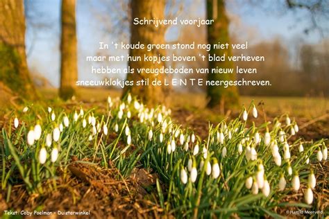 cobypoelmanblogspotcom schrijvend voorjaar