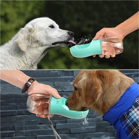 Distributeur De Nourriture Bouteille D Eau Portable Pour Chien De