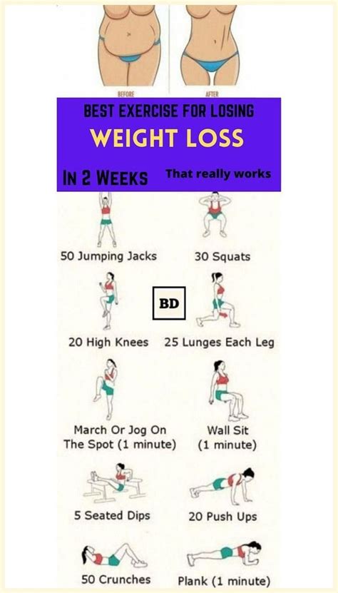 Beginner Workout Plan For Obese Women Actionable Wellness Artofit