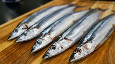 Pacific Saury Sanma Pike Mackarel