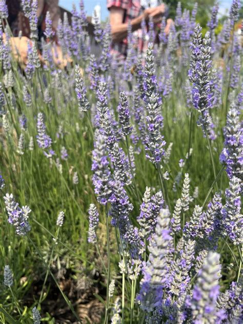 Workshops - Stems Brooklyn