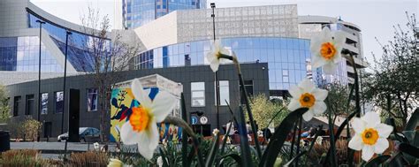 Президентский центр Бориса Ельцина | Ельцин Центр работает ежедневно с ...