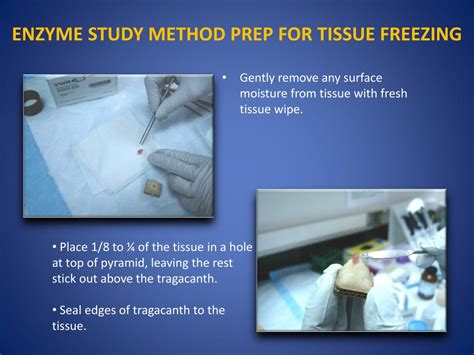 Ppt Tissue Freezing Methods For Cryostat Sectioning Powerpoint