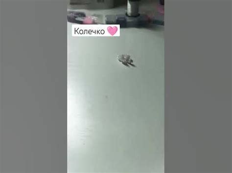 кольцо зайчик - YouTube