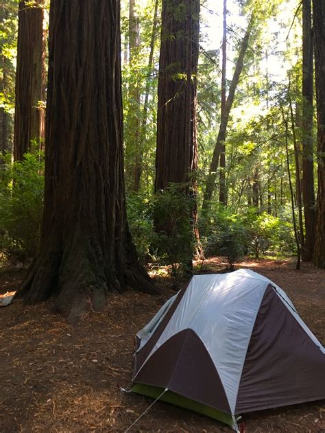 Camping in Redwoods NP: The Jedediah Smith Campground - Park Chasers