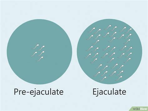 How To Get Sperm Out Of Your Body Fast What To Do After Sex