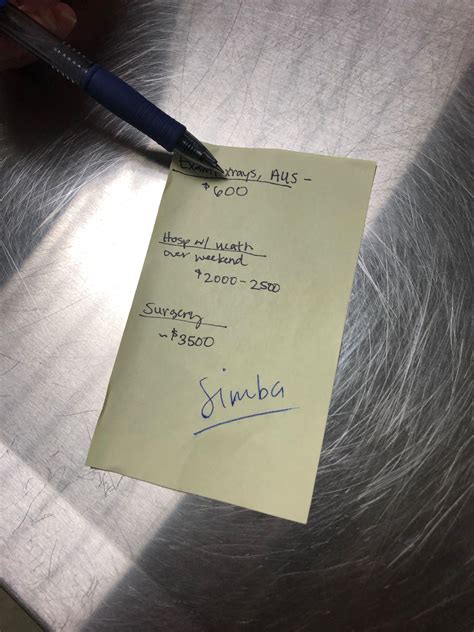 Care credit pet options help families manage unexpected vet costs 9