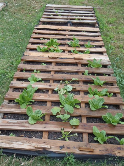 beckys blog lots  fun shtuff pallet garden update mar