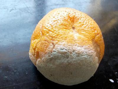 Sour Rot Pests And Diseases