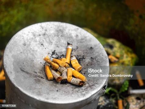 Sisasisa Rokok Diperas Dalam Asbak Foto Stok Unduh Gambar Sekarang