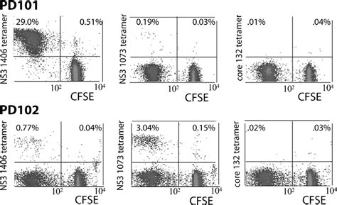 Proliferation Of HCV Specific Tetramer CD8 T Cells On Day 8 Of Culture