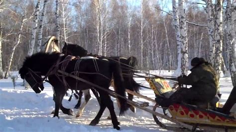 Over The River And Through The Woods (Lyrics in Description) - YouTube