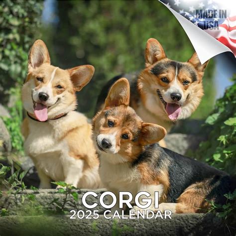 Corgi Wall Calendar Calendar Denni Neille