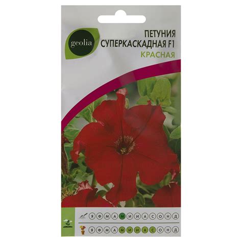 Петуния Geolia суперкаскадная красная F1 ️ купить по цене 51 ₽/шт. в ...