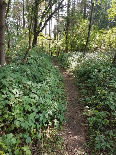 Radfahren in Berzhahn schönsten Radrouten Outdooractive