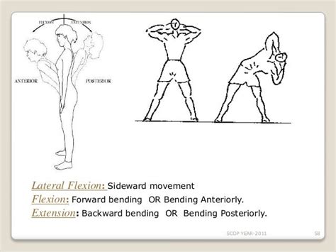 Flexion Meaning