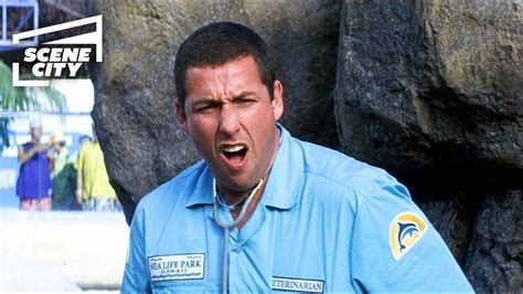 Como Se Fosse A Primeira Vez Uma Morsa Vomitando Adam Sandler Lusia