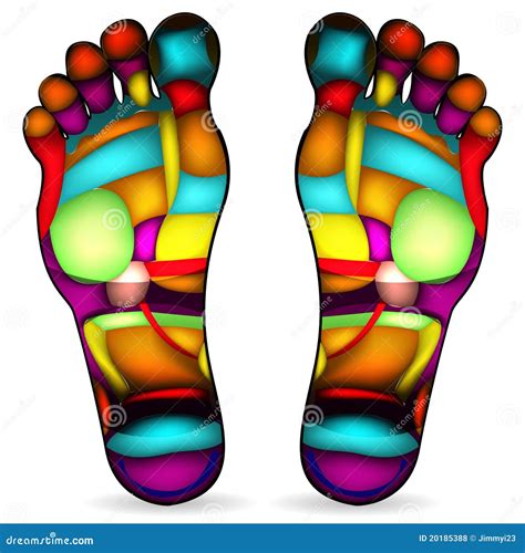 Foot Massage Chart Stock Vector Illustration Of Care 20185388