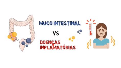 A Função Do Muco É Proteger A Parede Do Estômago - Você sabe como o muco intestinal protege nosso intestino contra ...