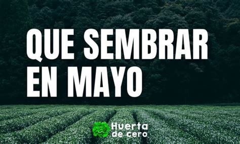 Qu Sembrar En Mayo En El Hemisferio Sur